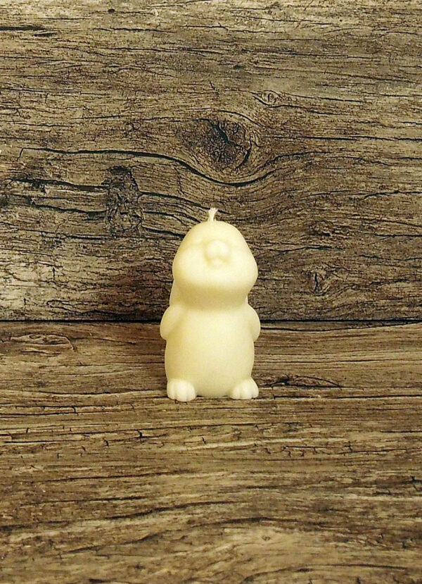Dreamy Bunny