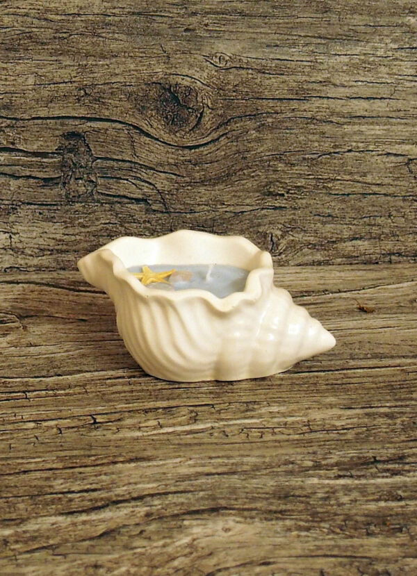Small shell
